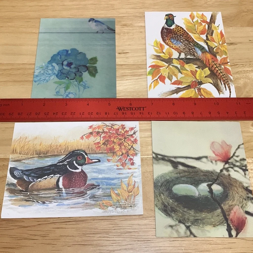 Lot of 19 blank cards with birds, cats and dogs on the fronts. Photos & art